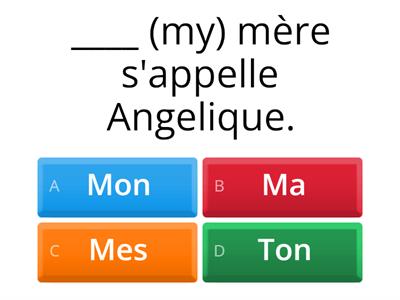 French Possessive Adjectives - My, Your, His/Her, Their, Our
