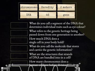  GENES, DNA AND CHROMOSOMES