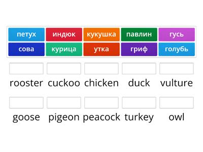 Птицы по-английски и по-русски
