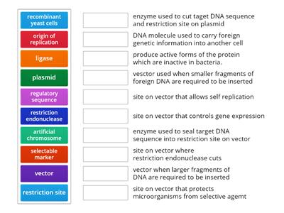 Recombinant DNA Technology (Higher Biology) match cards