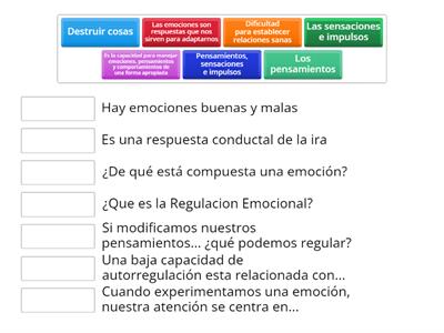 Autorregulación emocional