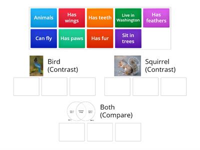 Compare and Contrast - Bird and Squirrel