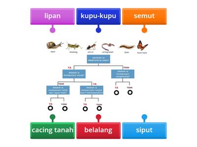 Biologi Tingkatan 5 Biodiversiti 8.1 : Kekunci Dikotonomi 2