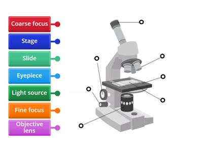  Microscope