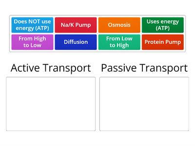 Active vs. Passive Transport Sort