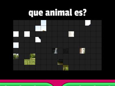 adivina quien version animales