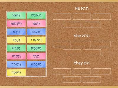 verb sort הוא/היא/הם פרק יח ט-טז