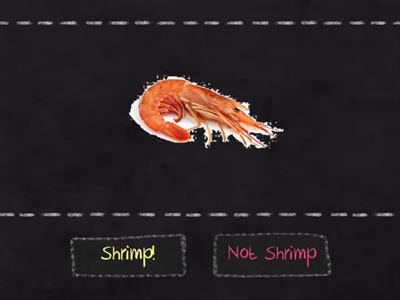 Shrimp!