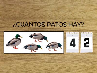  A CONTAR PATITOS! 