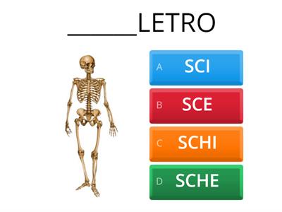 RIPASSO: SCI SCE SCHI SCHE 