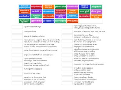 Evolution Vocab- AP