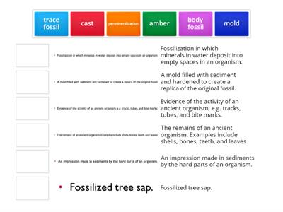 Vocabulary for Earth's History - Engage and Explore