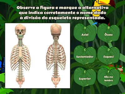 Módulo 2 - Anatomia Task Cursos