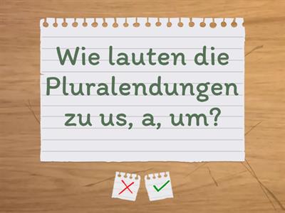 Viva 1_Grammatik_kunterbunt