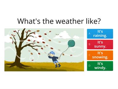 What's the weather like?