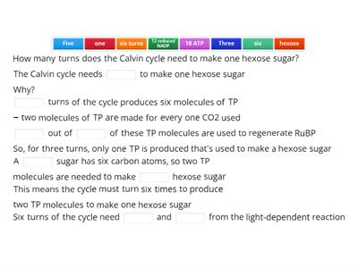CAX KS5   How many turns does the Calvin cycle need to make one hexose sugar?