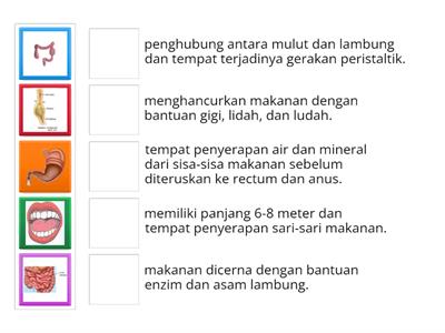 Pasangkan gambar berikut dengan fungsi yang tepat!