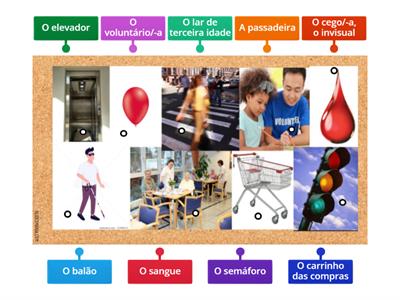 A1.1 - Curta "O Senhor Indiferente" 1 