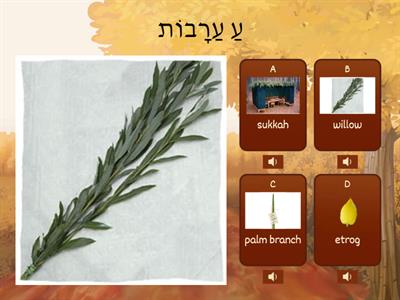  Sukkot Words with Starting Sounds