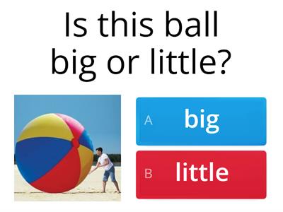 Big or Little
