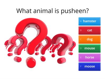 pusheen quiz!