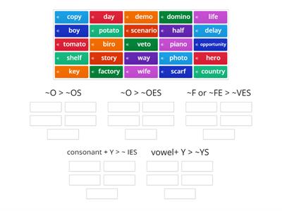 Regular-irregular plural nouns 1