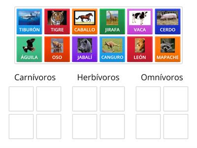 Animales carnívoros, herbívoros, omnívoros