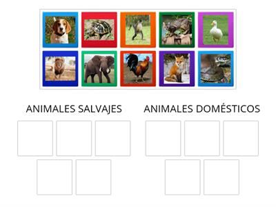 ANIMALES DOMÉSTICOS Y SALVAJES