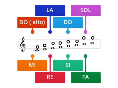 ( teoria ) MUSICA: LA SCALA MUSICALE