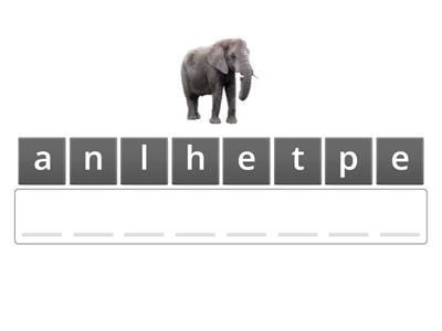 1B  Ch.4  Animals-spelling game