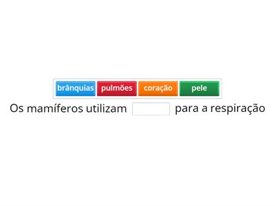 FISIOLOGIA DO SISTEMA RESPIRATÓRIO