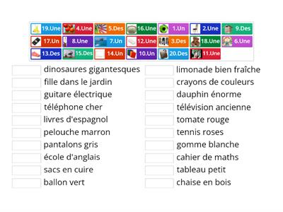 UN, UNE, DES. Articles indéfinis.