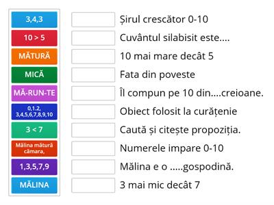 O mică gospodină