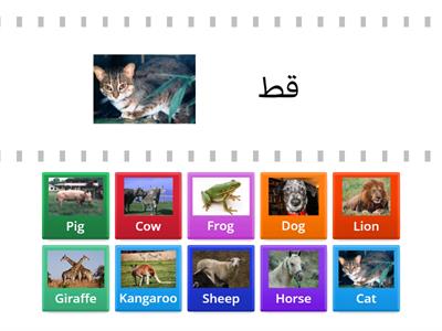  Animals in Arabic - حيوان