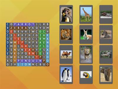 Amazing animals. Wordsearch