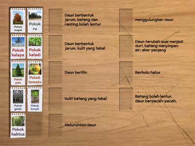 Tumbuhan Menyesuaikan diri dengan iklim dan perubahan musim.