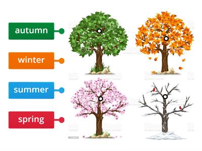 the 4 seasons 