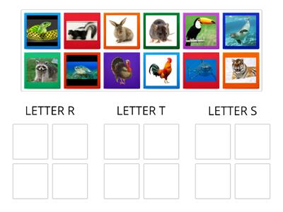 ANIMALS LETTER R -S-T