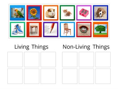 Living or Non-Living Things