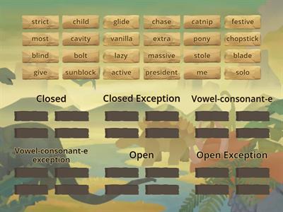 Wilson 5.5 Syllable Sort