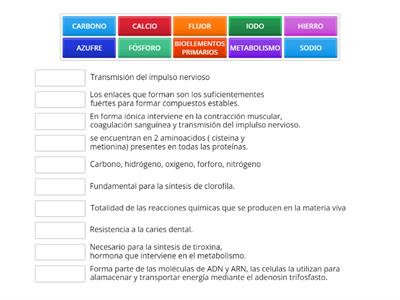 BIOQUÍMICA 