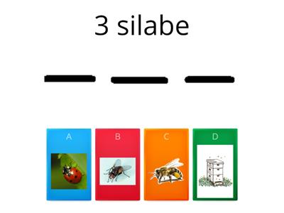 Insecte- Despărțirea în silabe