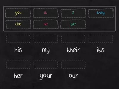 Possessive adjectives