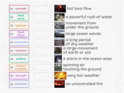 L2_P.6 Module 1 - Natural Disasters_Matchup description