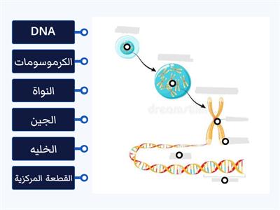 عناصر الخلية