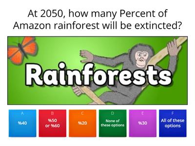   Geography Project Quiz 2 - Rainforests ( Small Quiz )