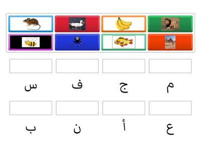 اختر الإجابة الصحيحة 