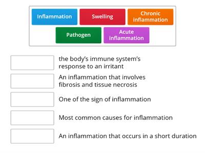 C02. Inflammation