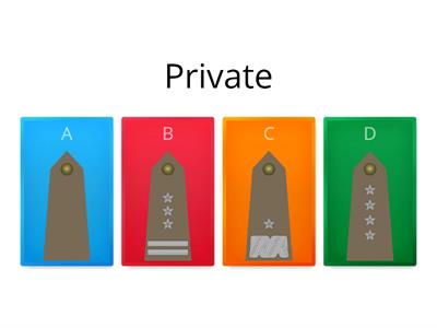 Polish Land Forces rank insignia