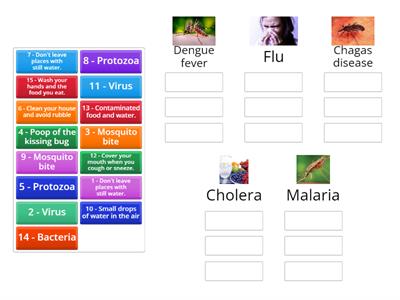 Diseases review